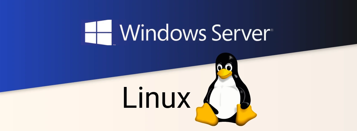 Windows & Linux Hizmetleri