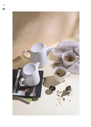 Sayfa 265