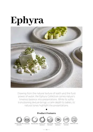 Sayfa 64