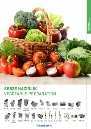 Sayfa 21