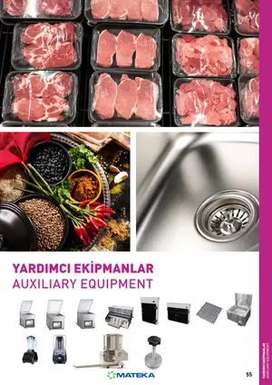 Sayfa 55
