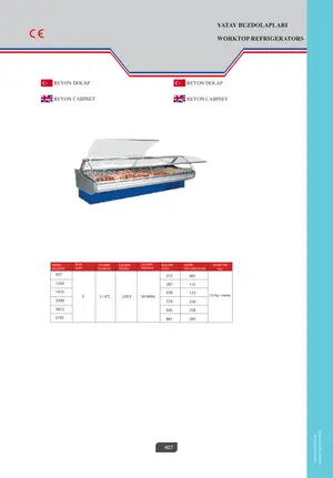 Sayfa 407