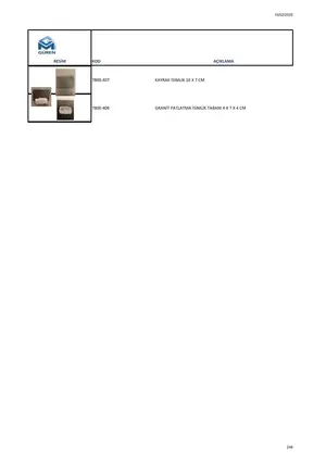 Sayfa 249