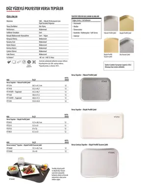 Sayfa 239
