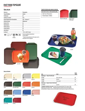 Sayfa 261