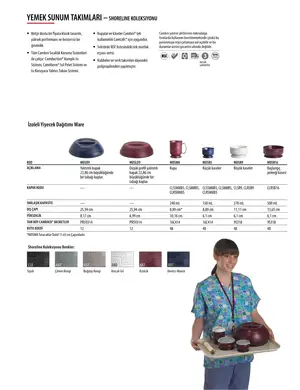 Sayfa 271
