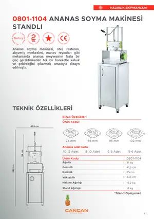 Sayfa 41