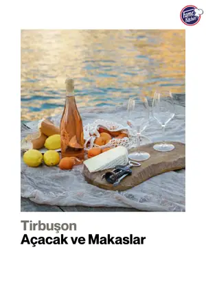 Sayfa 51