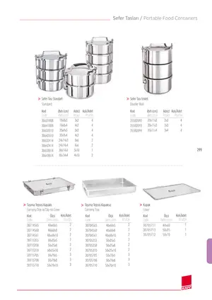 Sayfa 301