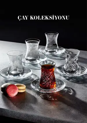 Sayfa 31