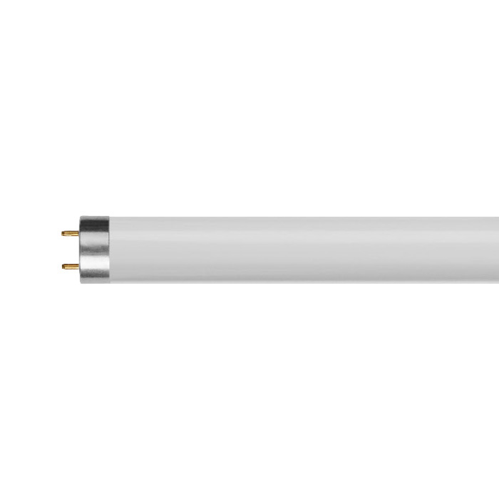 TUBE