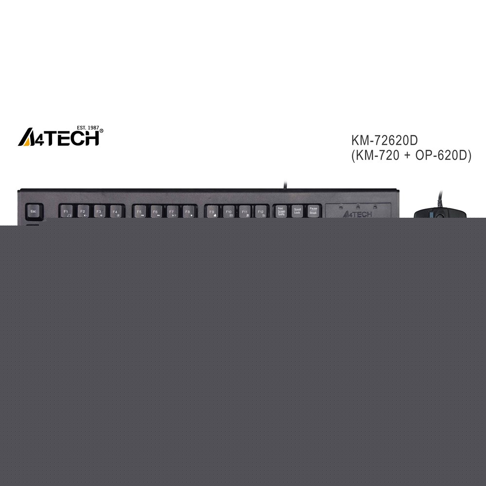 A4-Tech Kablolu Set Siyah (KM-72620D)