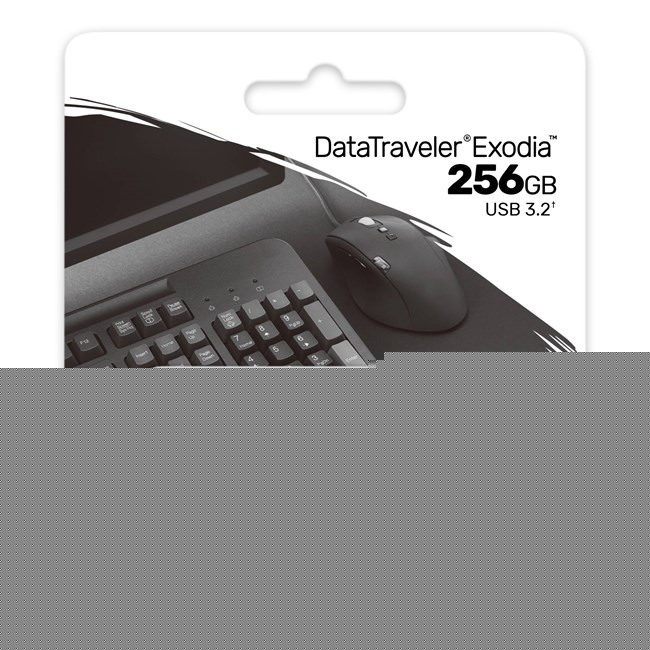 Kingston 256GB Exodia DTX/256GB