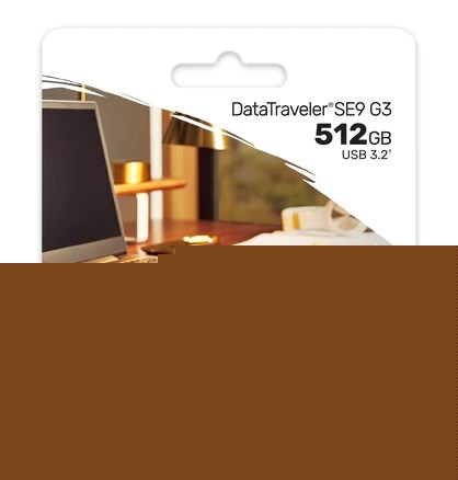 Kingston 512GB DataTraveler (DTSE9G3/512GB)