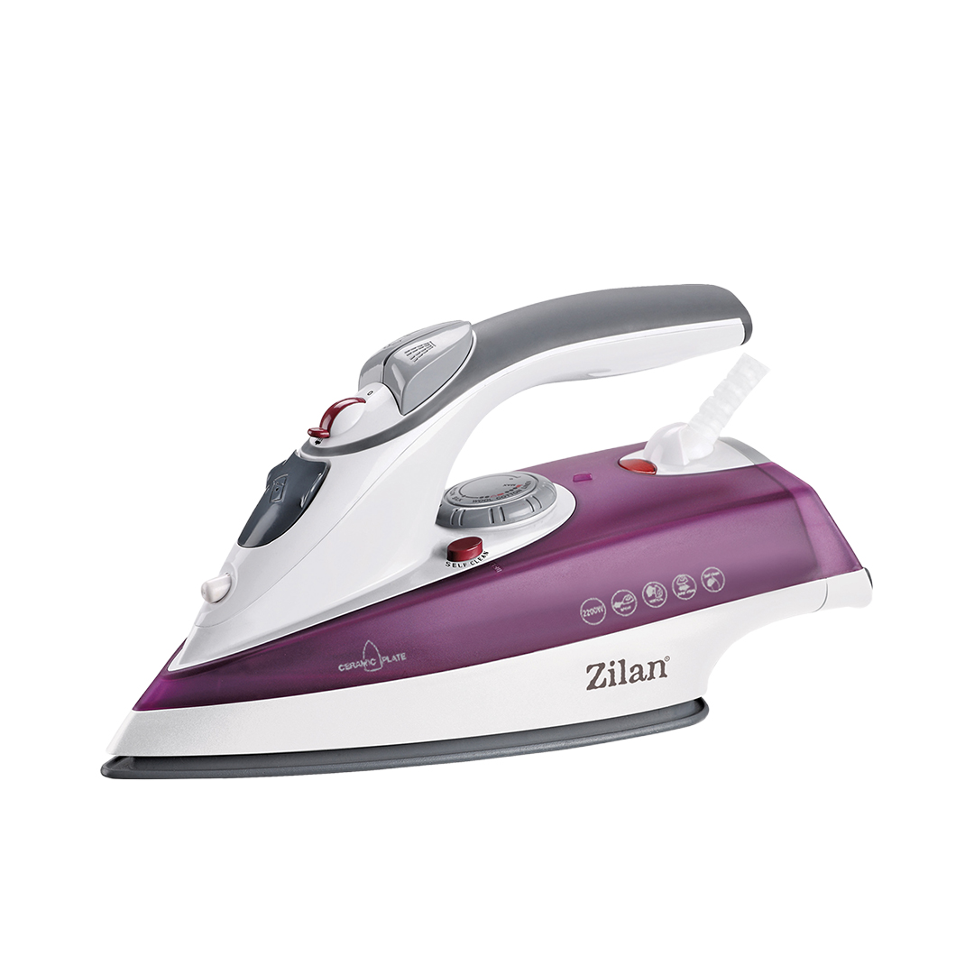 ZLN8083 Buharlı Ütü