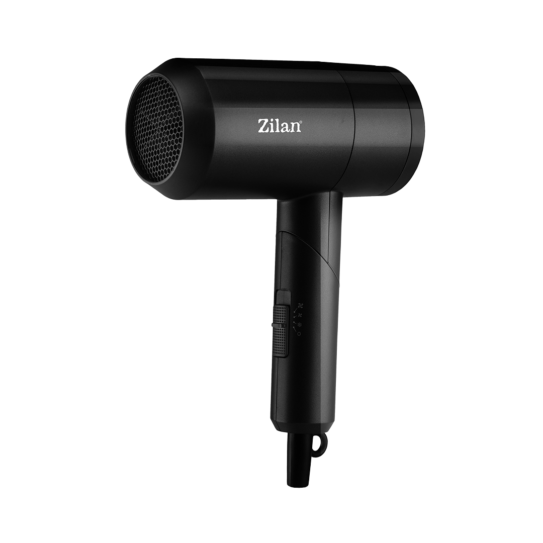 ZLN9174 Saç Kurutma Makinesi (Panacea)